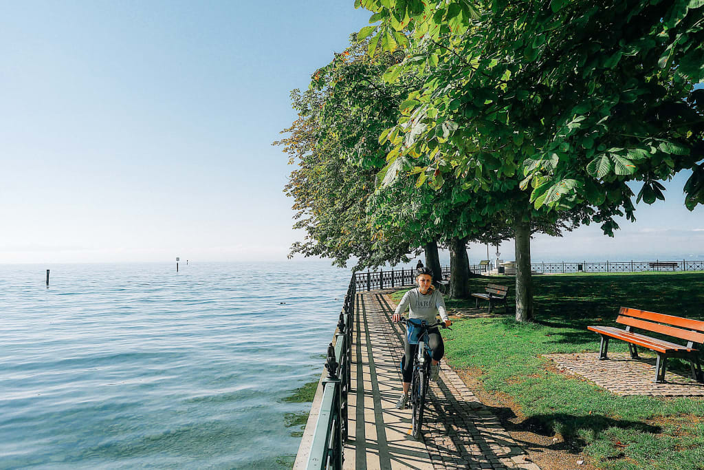 Sentiero ciclabile ombreggiato dagli alberi che costeggia il Lago di Costanza, tour in bici classico da Friedrichshafen